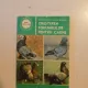 CRESTEREA PORUMBEILOR PENTRU CARNE DE IOAN VANCEA , PELICIU BONATIU , 1986