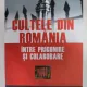Cultele din Romania intre prigonire si colaborare - Carmen Chivu Duta