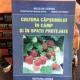 CULTURA CAPSUNULUI IN CAMP SI IN SPATII PROTEJATE - NICOLAE CEPOIU