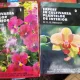 D. G. Hessayon - Expert in cultivarea plantelor de interor Vol 1 si 2