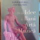 De la idee la bani in arta si muzica - Randey W. Faulkner