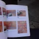 DECORATIVE WALL PAINTING FOR BEGINNERS - REYES PUJOL XICOY  (CARTE IN LIMBA ENGLEZA)