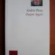 DESPRE INGERI DE ANDREI PLESU