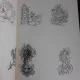 Dibujos - Samuel Feijoo  (album grafica)