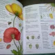 DICTIONAR DE BIOLOGIE ILUSTRAT