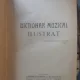 Dictionar Muzical Ilustrat - A.L.Ivela