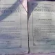 DICTIONARIULU LIMBEI ROMANE - A.T. LAURIANU, J.C. MASSIMU, TOMUL II. FASCICOLELE 30, 19