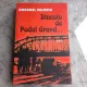 DINCOLE DE PODUL GRAND - EMANUEL VALERIU