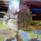 DINOZAURII - CARTE CU POP-UP