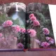 Discover America, a scenic tour of the fifty states (album, text in limba engleza)