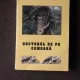 DOCTORUL DE PE COMOARA - ELISABETA ISANOS  (CU DEDICATIA AUTOAREI)