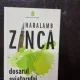 Dosarul Aviatorului Singuratic - Haralamb Zinca