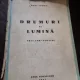 Drumuri de lumina. Prin tari straine - Radu Cosmin