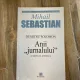 Dumitru Solomon - Anii jurnalului