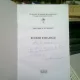 ECOURI STRADALE (UMOR, SATIRA, ATITUDINE) - NICULAE L. STANESCU  (CU DEDICATIA AUTORULUI)