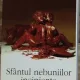 Elif Shafak - Sfantul Nebuniilor Incipiente
