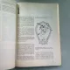 ENCICLOPEDIA INTELEPCIUNII EROTICE - RUFUS CAMPHAUSEN