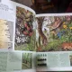 Enciclopedia Naturii Europene - Milos Andrea