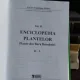 ENCICLOPEDIA PLANTELOR - CONSTANTIN PARVU   VOL.II