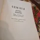 ERMINIA PICTURII BIZANTINE