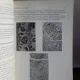 ETIOMORFOPATOLOGIE VETERINARA - IOAN PAUL