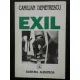 EXIL - CAMILIAN DEMETRESCU