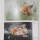 Expozitie retrospectiva - Hortensia Masichievici-Misu