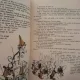 Faramiturica - Horia Robeanu  editie ilustrata