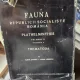 Fauna Republicii Socialiste Romania - Plathelminthes - Trematoda - Vol. II Fascicula 4 - Elena Chiriac si Maria Udrescu