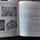 FAZANUL. CRESTERE SI VALORIFICARE - PETRE CRISTESCU