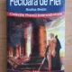FECIOARA DE FIER - RODICA BRETIN