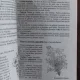 FLORI CULTIVATE IN GRADINA - ELENA SELARU
