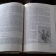 FLORICULTURA-V.SONEA -AFRODITA PAVEL SI ALTII