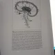 Following Charcot,  forgotten History of Neurology and Psychiatry - J. Bogousslavsky