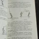 FOTBAL CURS DE BAZA - ION MOTROC  VOL.2