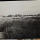 Fotografie, Dudestii Vechi, perioada interbelica