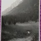 Fotografie, Poiana Costilei, spre Omul prin Valea Cerbului, august 1930