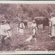Fotografie tip Carte Postala, Copii din mediul rural, in costume populare, perioada interbelica