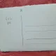 Fotografie tip carte postala, la padure cu trasura, inceput de secol XX