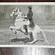 Fotografie tip Carte Postala, Scoala spaniola de echitatie de la Viena, 1931, necirculata