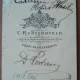 Fotografie tip CDV, doamna de la inceput de secol XX
