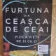 Furtuna din ceasca de ceai, fizica vietii de zi cu zi - Helen Czerski
