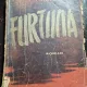 Furtuna - Ilya Ehrenburg