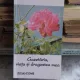 GAZETARIA, VIATA SI DRAGOSTEA MEA - NICOLAE DAN FRUNTELATA