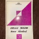 Gellu Naum - Sora fantana