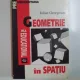 GEOMETRIE IN SPATIU de IULIAN GEORGESCU , 1995