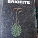 Gheorghe Mohan, Aurel Ardelean - Briofite. Determinator Ilustrat din Flora Romaniei