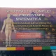 Ghid practic de prezentare sistematica a tuturor canalelor subtile energetice dar si a principalelor puncte focar ce sunt utilizate in presopunctura