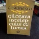 GILCEAVA INTELEPTULUI CU LUMEA - G. CALINESCU   2 VOLUME