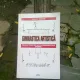 GIMNASTICA ARTISTICA - VASILICA GRIGORE